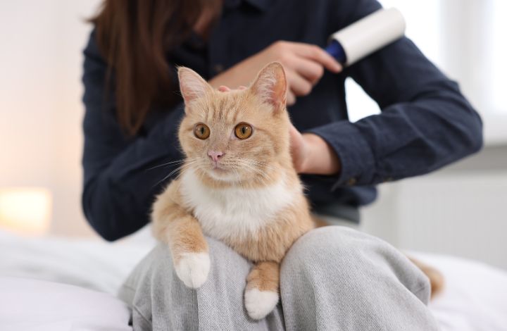 Removing pet hair from clothes before washing